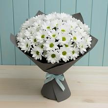 Букет цветов из:  Хризантемы в Лайково